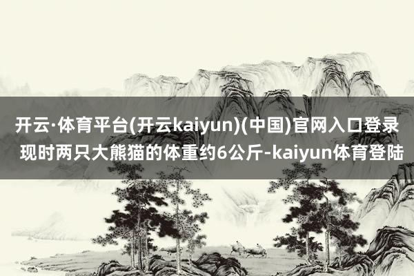 开云·体育平台(开云kaiyun)(中国)官网入口登录 现时两只大熊猫的体重约6公斤-kaiyun体育登陆