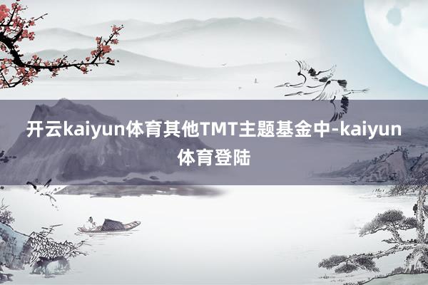 开云kaiyun体育　　其他TMT主题基金中-kaiyun体育登陆